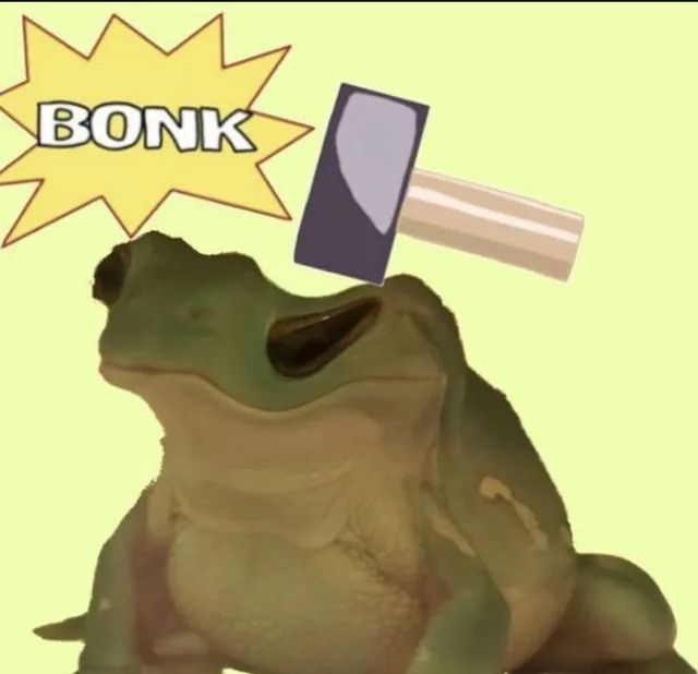 Stupid image